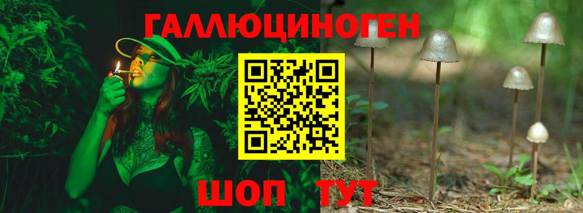 Псилоцибиновые грибы мухоморы Арзамас